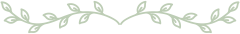 border_top_bg.png